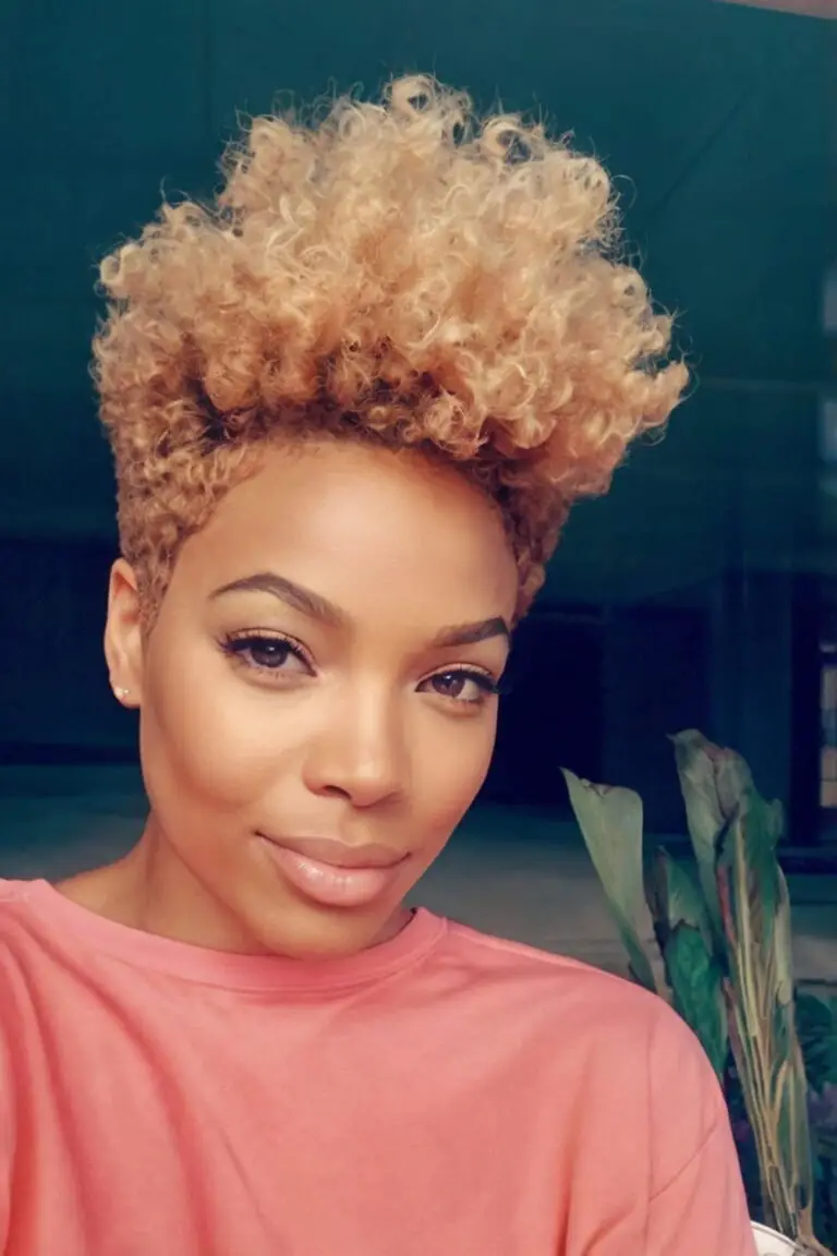 Mesmerizing Low Maintenance Short Natural Haircuts For Black Females Moment Art Mesmerizing Low Maintenance Short Natural Haircuts For Black Females Moment Art
