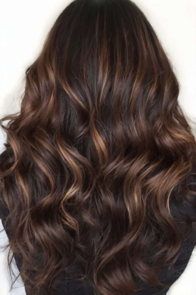 Black with Caramel Brown Highlights