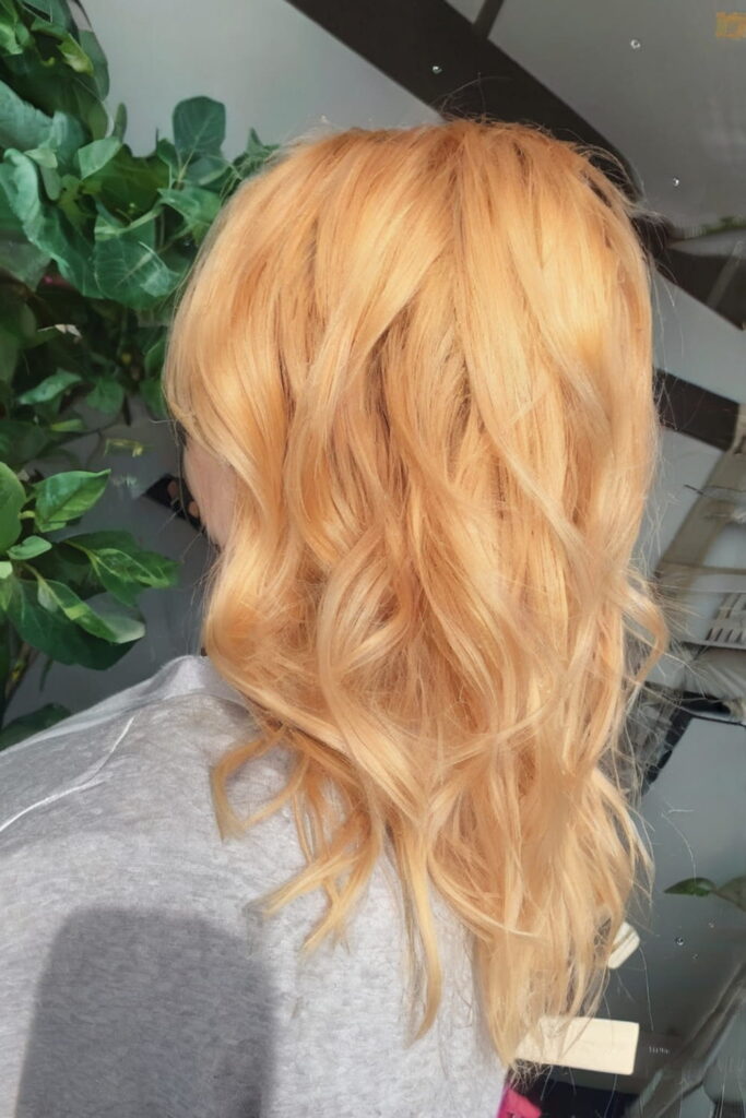 Apricot Blonde