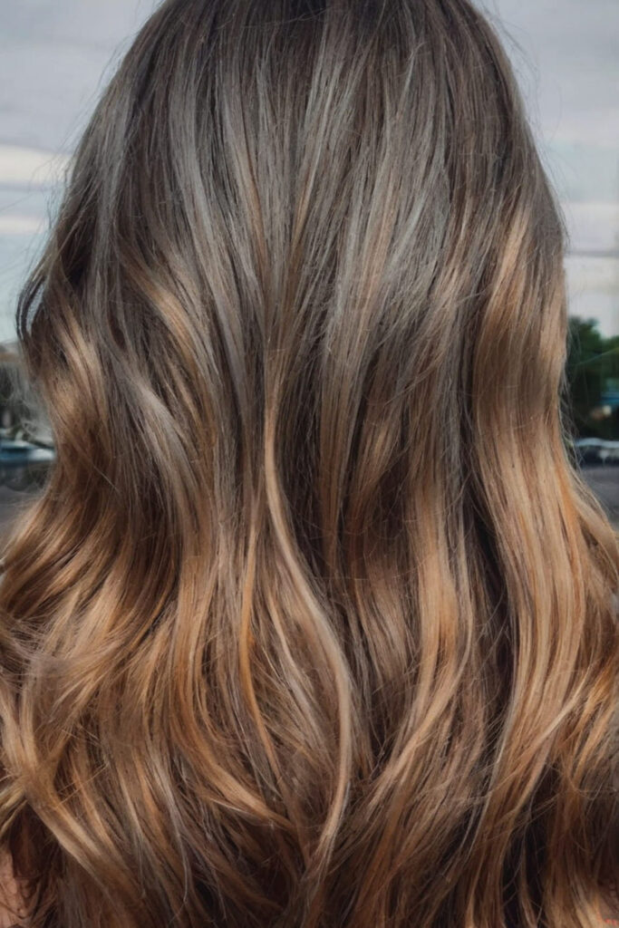 Bronze Highlights