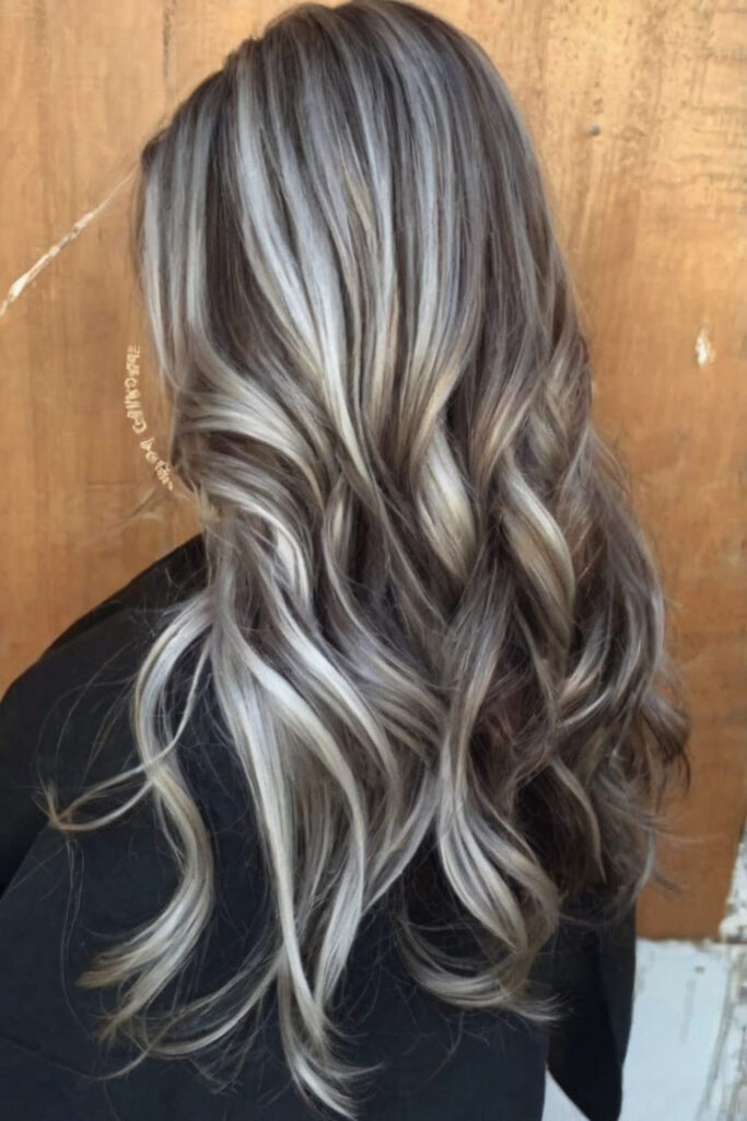 Brown Hair with Silver Highlights