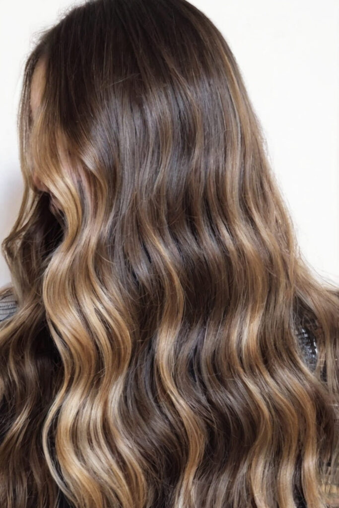 Brunette Hair with Light Brown Highlights