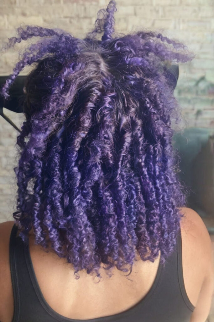 Dark Indigo Purple Locks