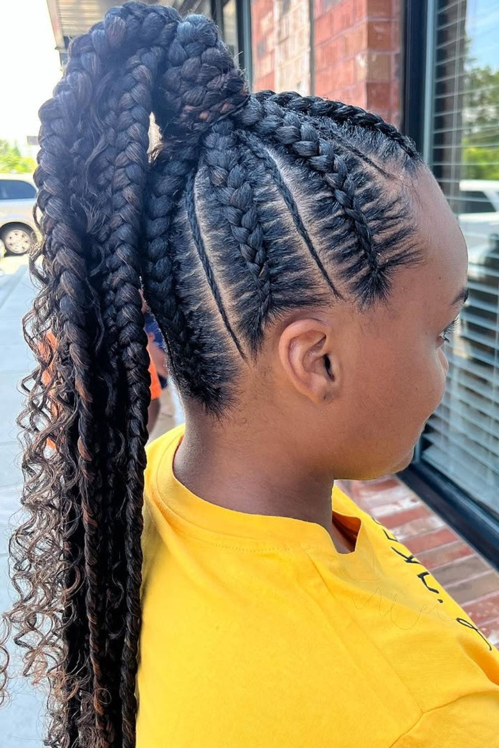 Braided Ponytail