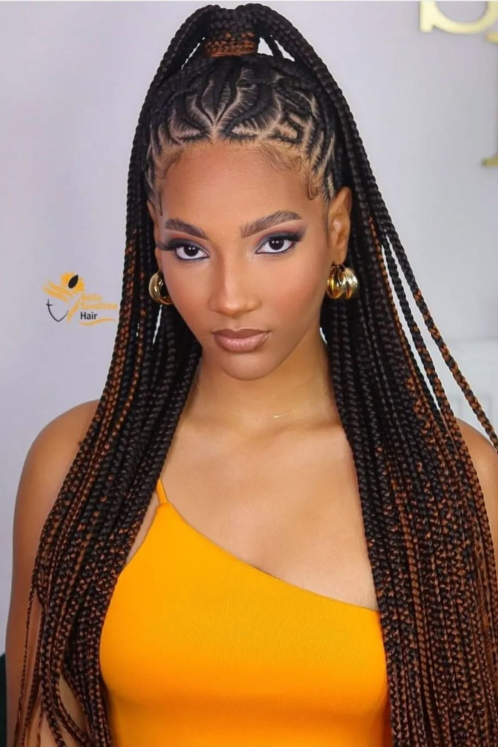 Half Up, Half Down Braids