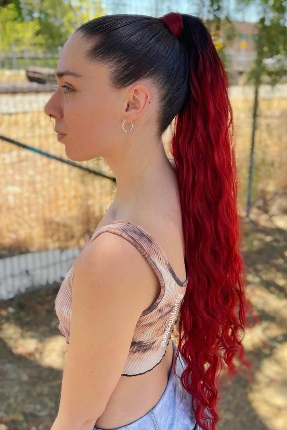 High Ponytail