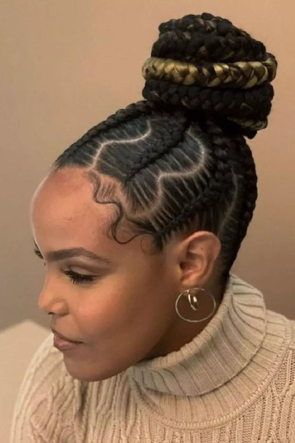 Updo Braided Hair