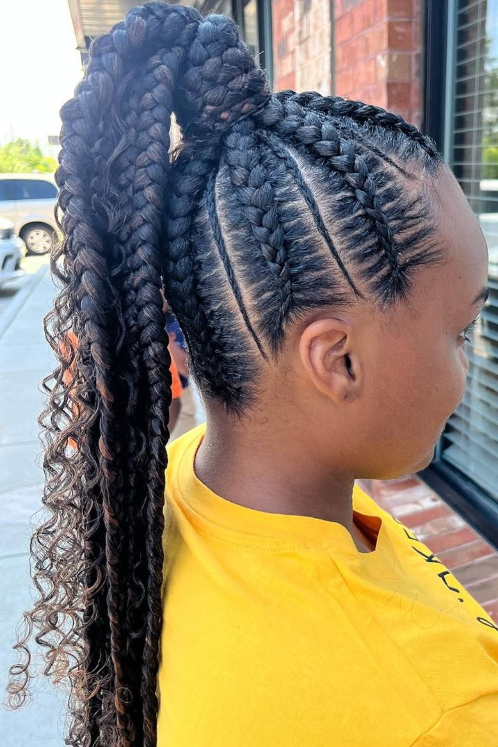 Braided Ponytail