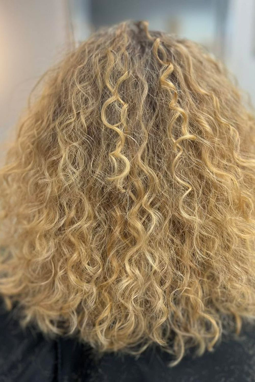 Frizz Forward